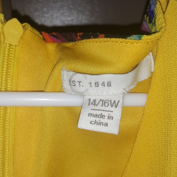 Cato - Picture 2 of 2